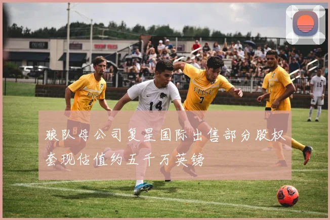 狼队母公司复星国际出售部分股权套现估值约五千万英镑