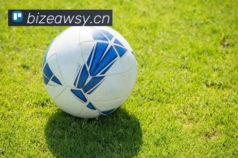 星空体育在线登录网页平台生态图